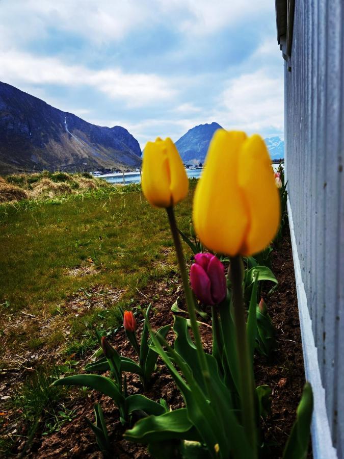 Banpim Beachside Lofoten Ramberg Εξωτερικό φωτογραφία