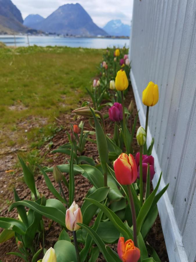 Banpim Beachside Lofoten Ramberg Εξωτερικό φωτογραφία
