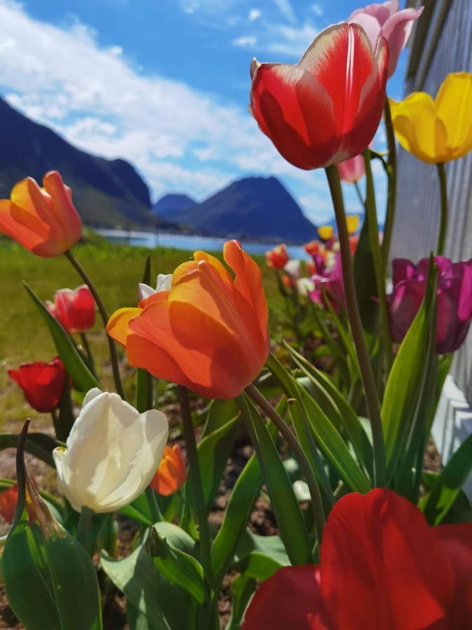 Banpim Beachside Lofoten Ramberg Εξωτερικό φωτογραφία