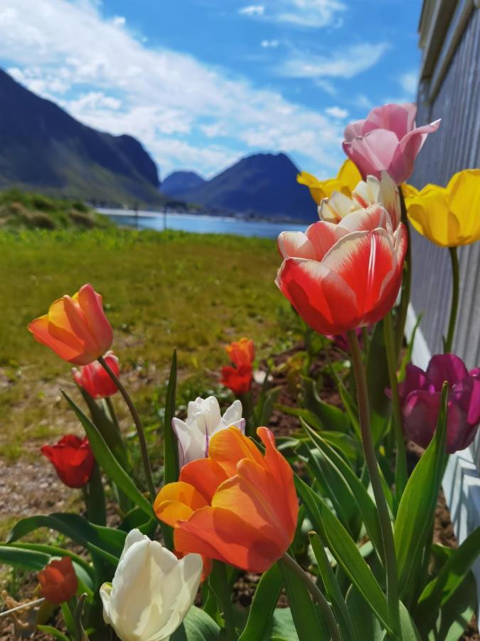 Banpim Beachside Lofoten Ramberg Εξωτερικό φωτογραφία