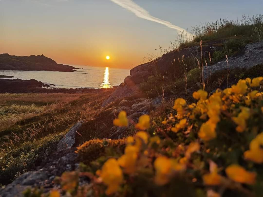 Banpim Beachside Lofoten Ramberg Εξωτερικό φωτογραφία